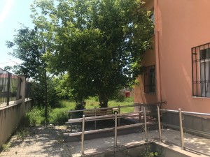 IMG_2498 (1)
